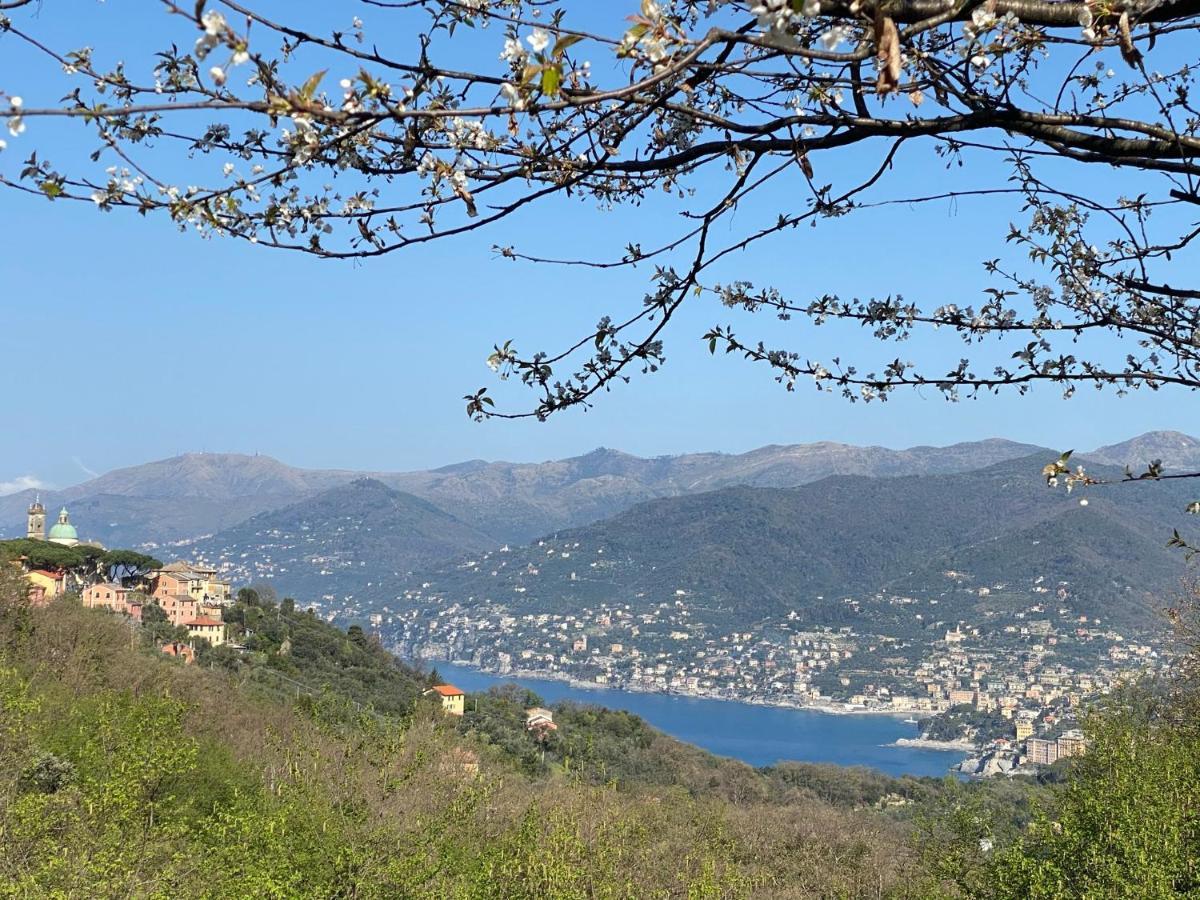 Liguria Home 4 - Recco Centro A 2 Minuti Dal Mare Exterior photo
